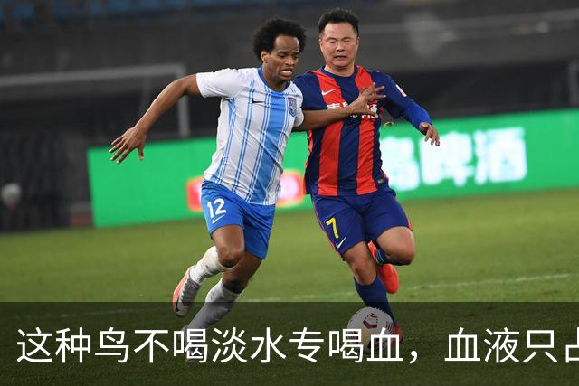 这种鸟不喝淡水专喝血，血液只占食谱十分之一